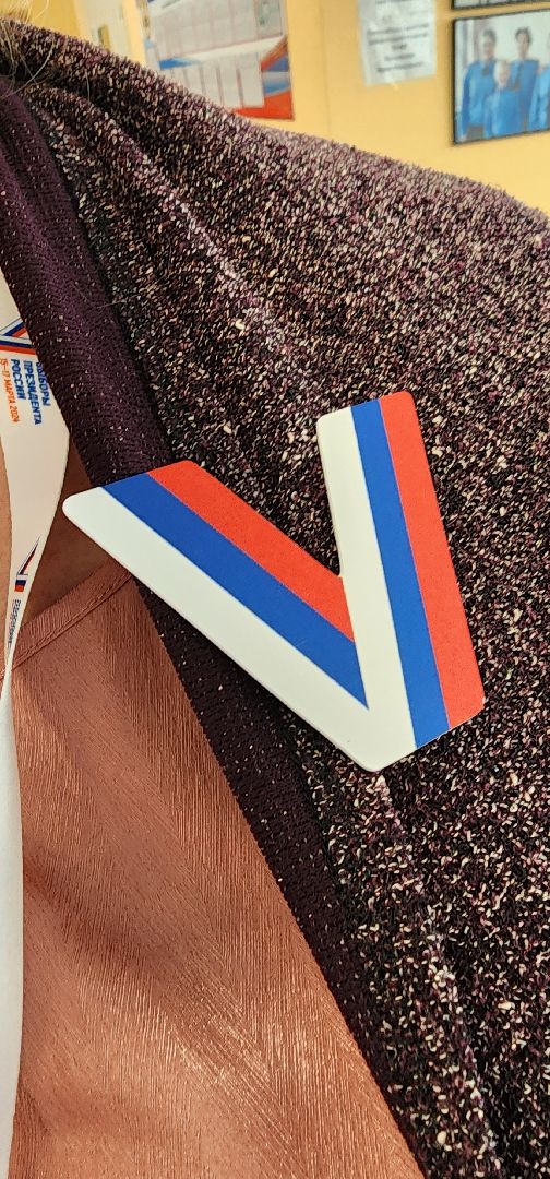 выборы 2024, выборы президента 2024, Рошаль, впервые голосующий, Большая Шатура,