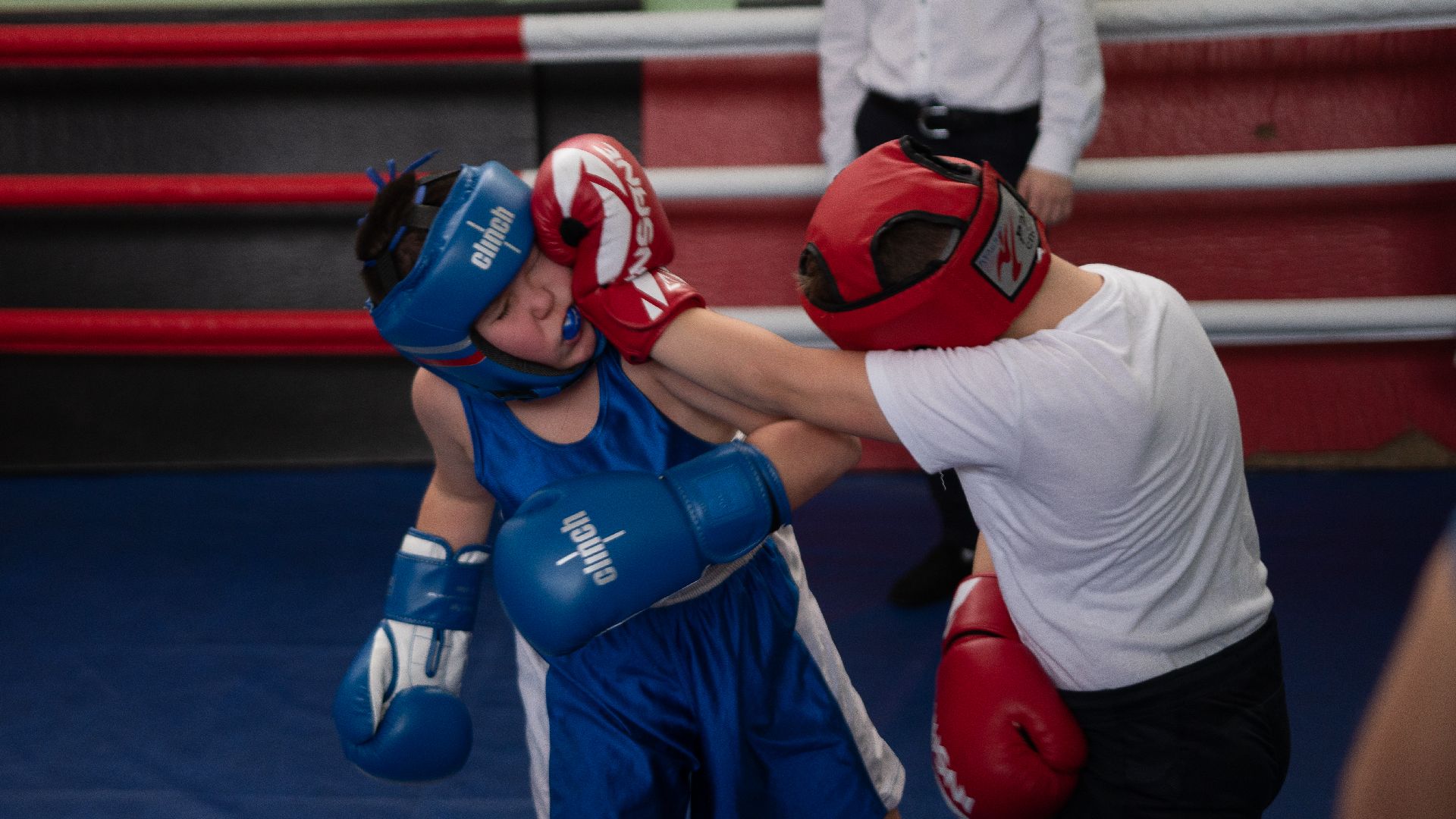 егорьевск, бокс, показательные выступления, ринг, дети, спорт,