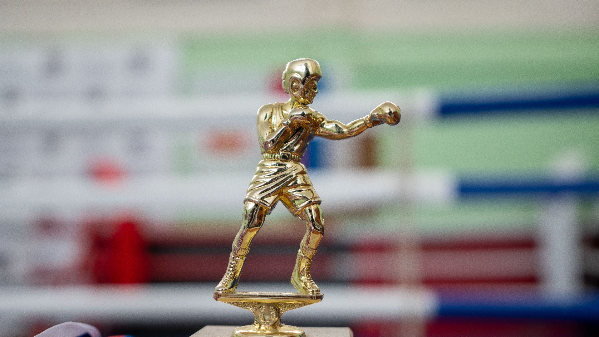 егорьевск, бокс, показательные выступления, ринг, дети, спорт,