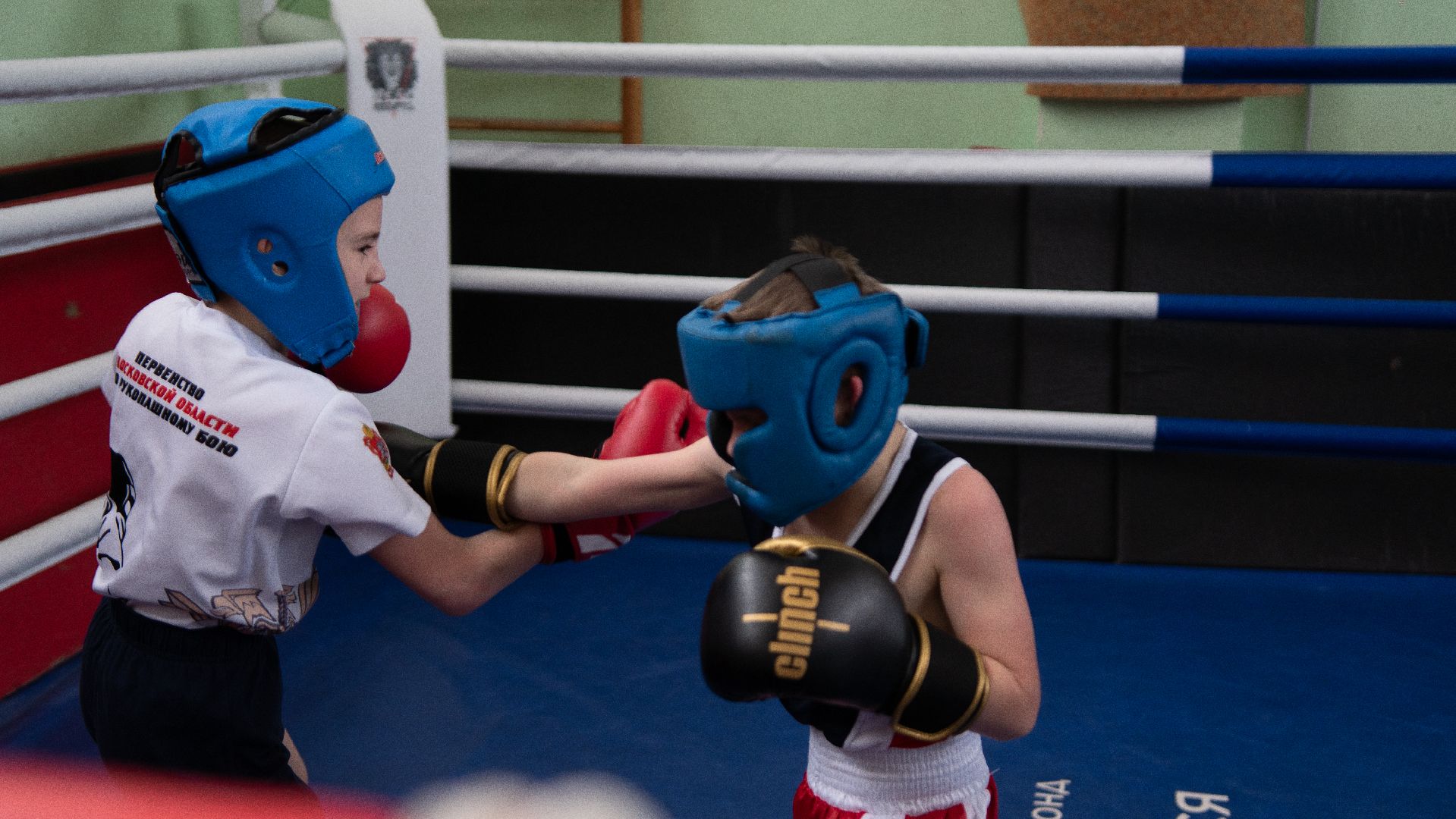 егорьевск, бокс, показательные выступления, ринг, дети, спорт,