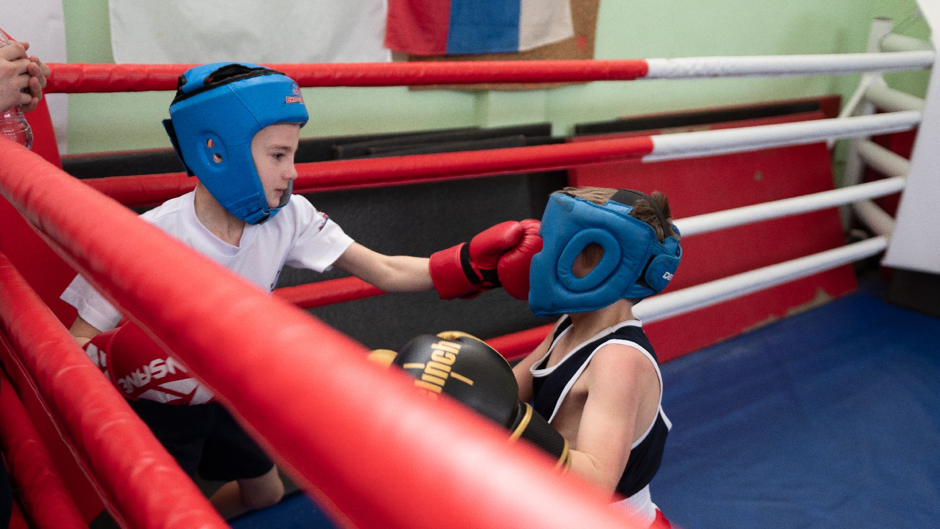 егорьевск, бокс, показательные выступления, ринг, дети, спорт,