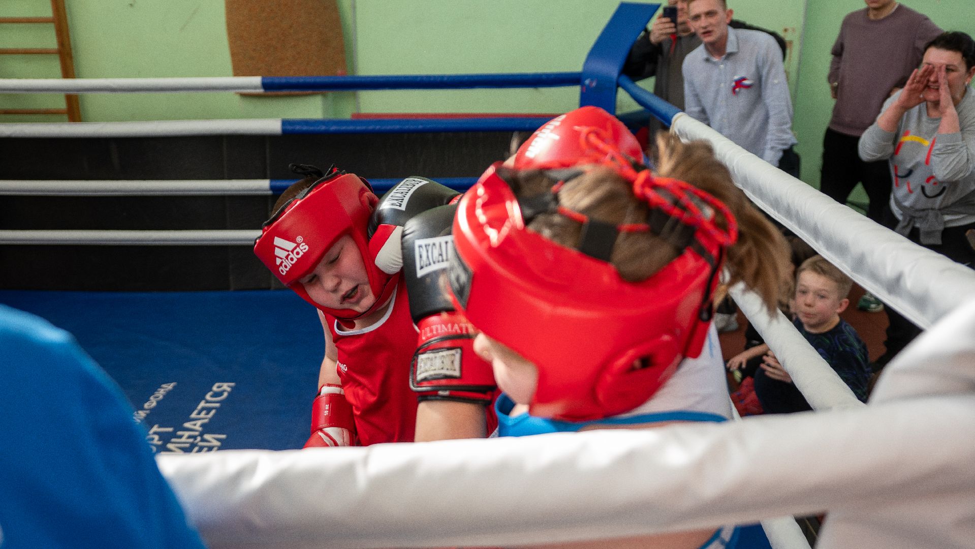 егорьевск, бокс, показательные выступления, ринг, дети, спорт,