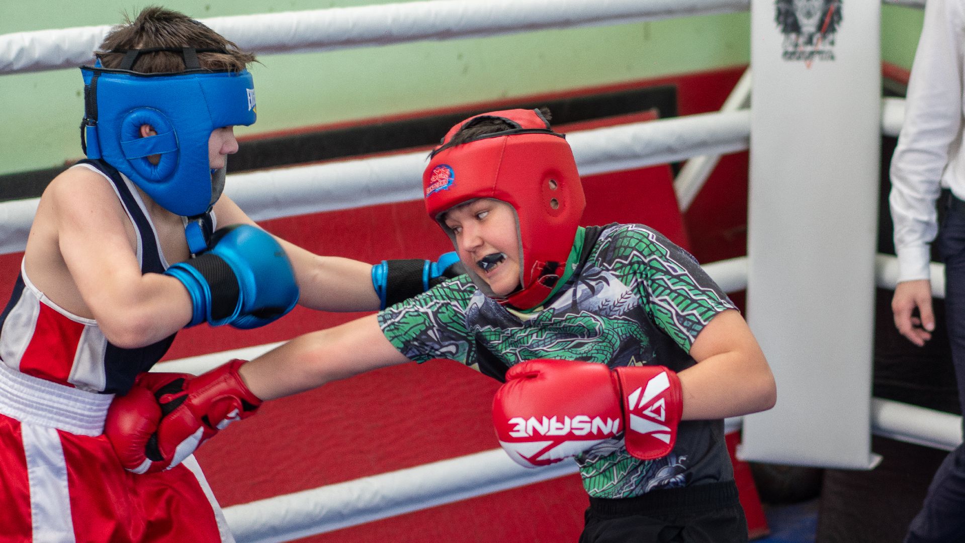 егорьевск, бокс, показательные выступления, ринг, дети, спорт,