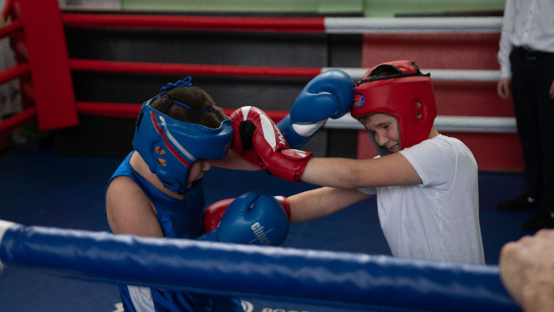 егорьевск, бокс, показательные выступления, ринг, дети, спорт,