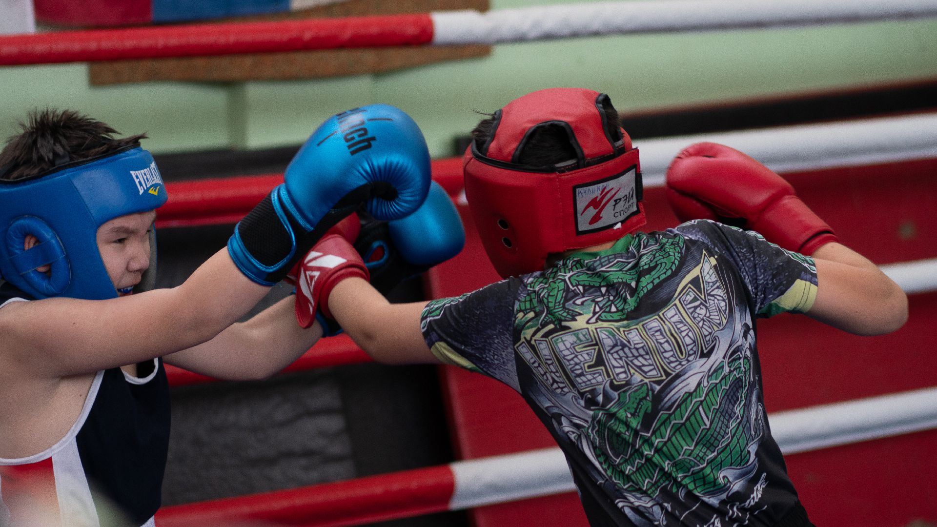 егорьевск, бокс, показательные выступления, ринг, дети, спорт,