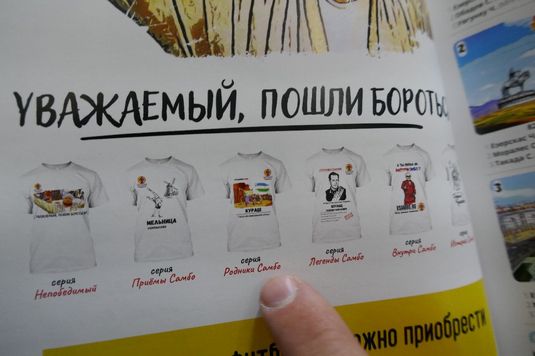 Подольск, спорт, самбо, чемпионы