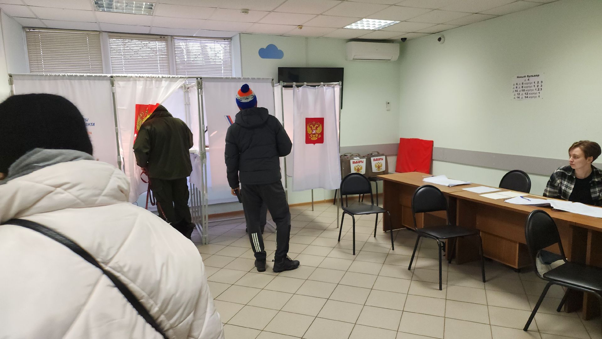 долгопрудный, выборы президента 2024, кинологи, овчарки шипперке,