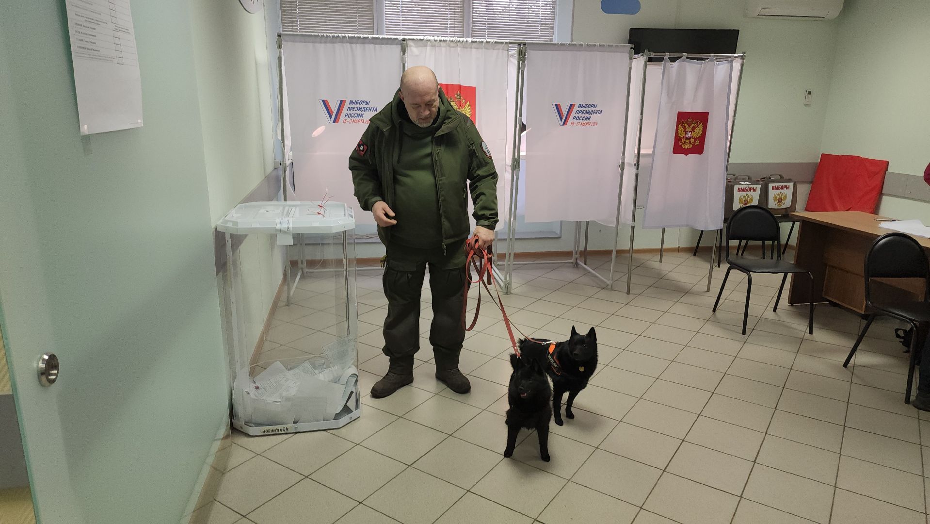 долгопрудный, выборы президента 2024, кинологи, овчарки шипперке,