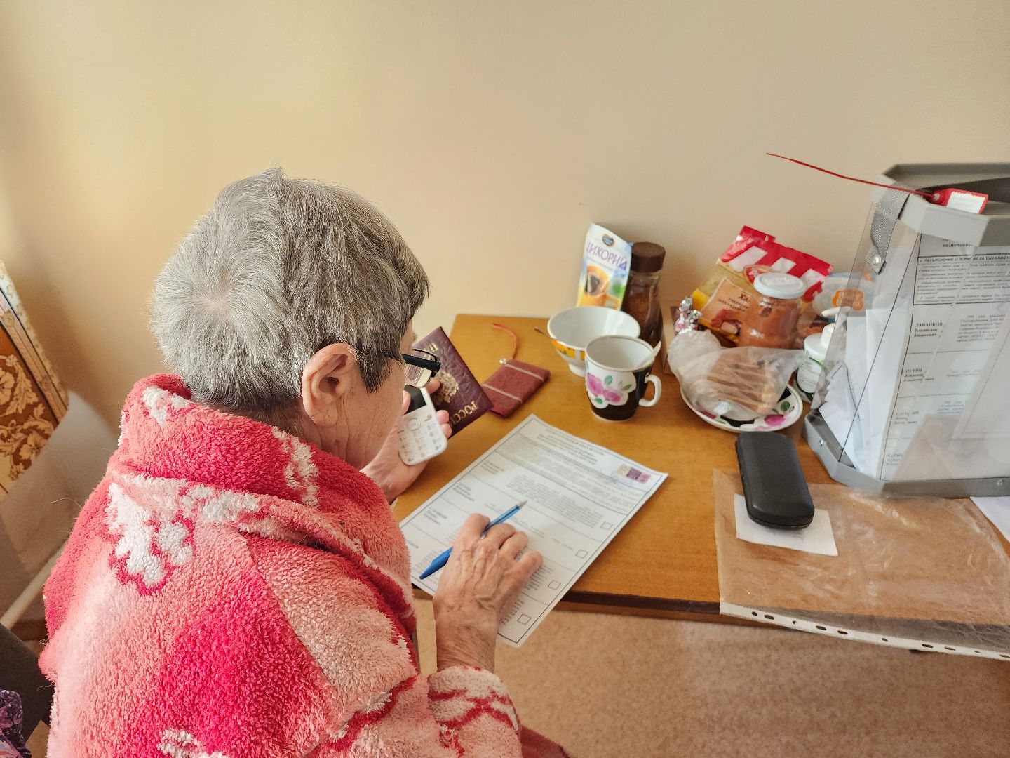 красноармейск, г.о. пушкинский, выборы президента рф 2024, выездное голосование,