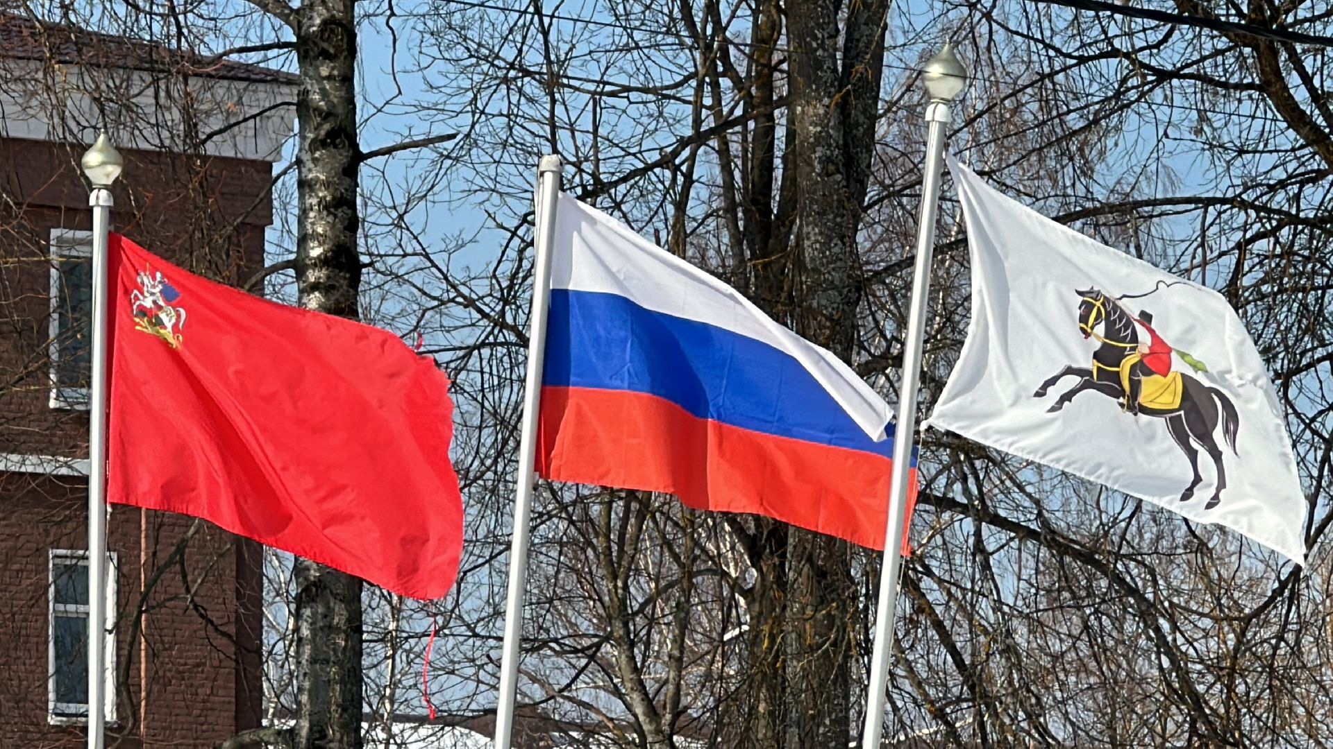 Клин, общество, люди, стихи, голосование, выборы, выборы президента 2024,