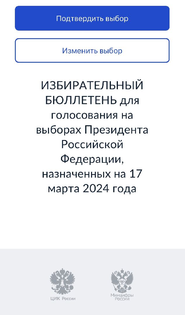 Выборы, выборы 2024, дистанционное электронное голосование, дистанционное голосование,
