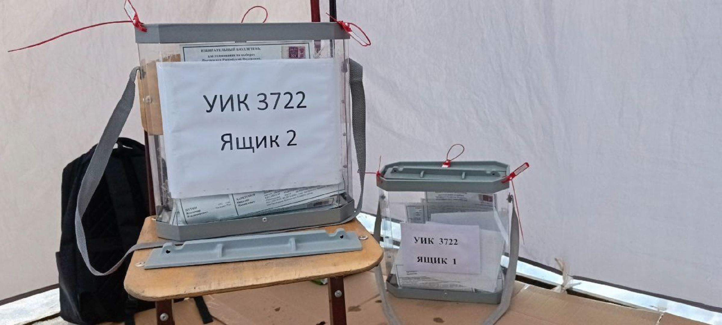 Дмитров, Выборы 2024,