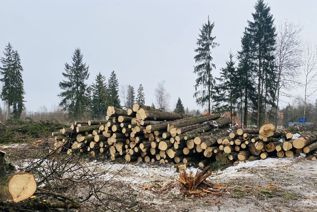 Краснознаменск, Образовательный центр, Владимир Пирогов, Олег Рожнов, строительство