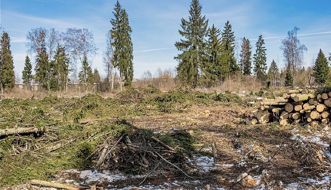 Краснознаменск, Образовательный центр, Владимир Пирогов, Олег Рожнов, строительство