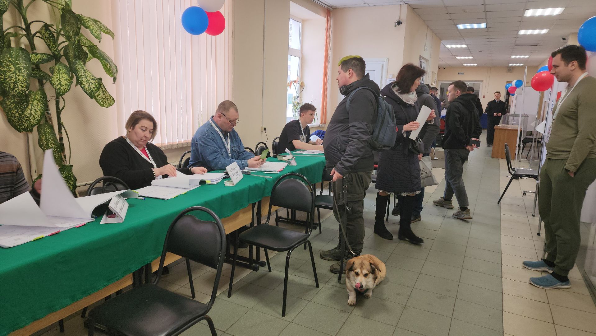 Реутов, выборы, Президент, УИК, голосования, животное,