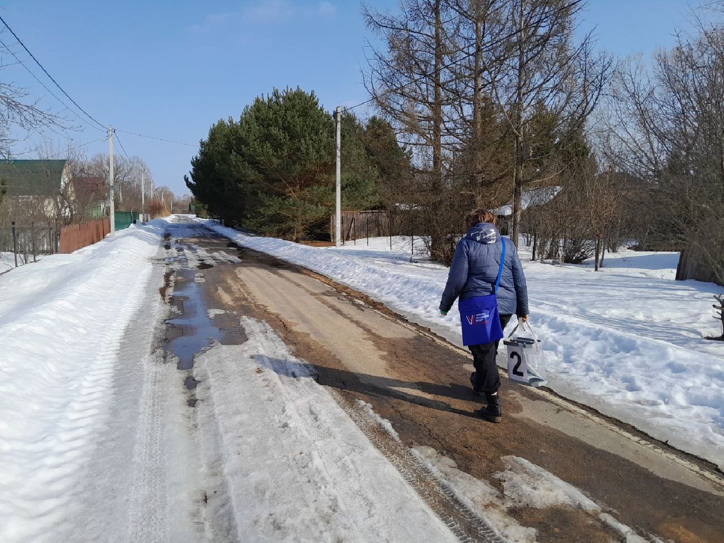 лотошино, выборы президента 2024,