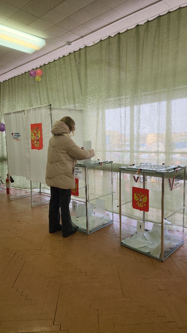 выборы Президента, голосование, избирательная комиссия, Старая Купавна, Богородский городской округ,