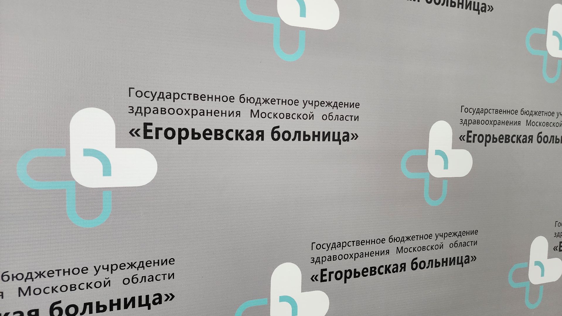 выборы, подмосковье, Московская область, Егорьевск, выборы президента,