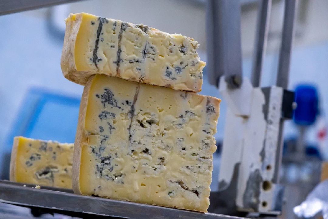 Экономика, производство, сыр, Альдини, Заголовацкий, Орехово-Зуево, Соболево