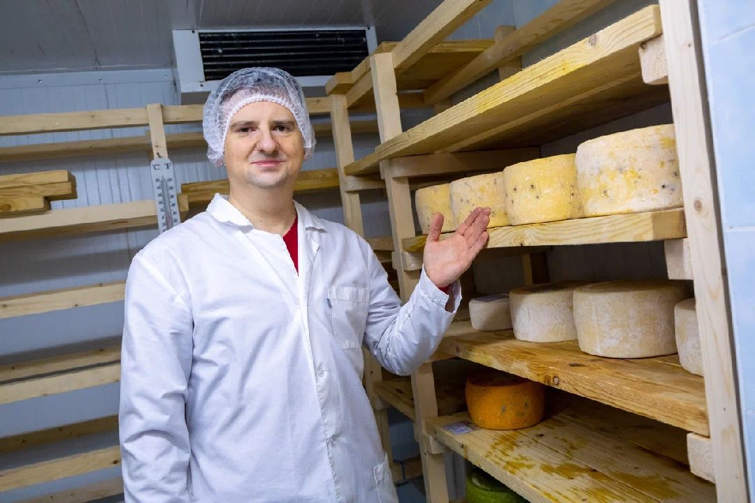 Экономика, производство, сыр, Альдини, Заголовацкий, Орехово-Зуево, Соболево