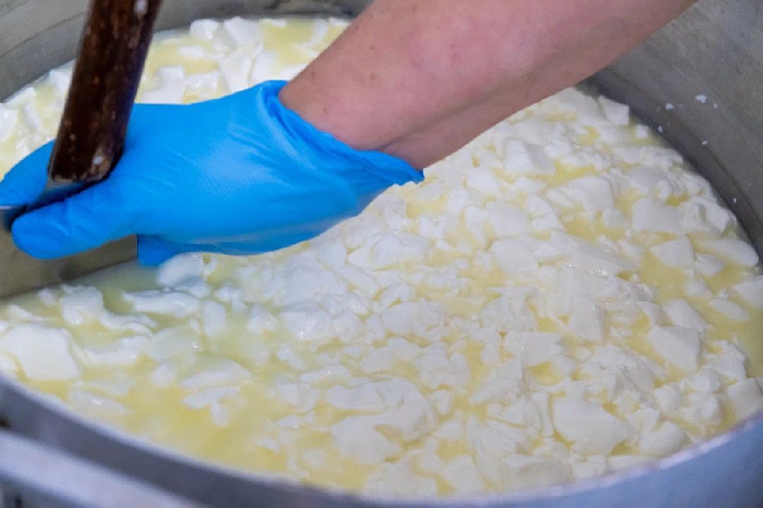 Экономика, производство, сыр, Альдини, Заголовацкий, Орехово-Зуево, Соболево