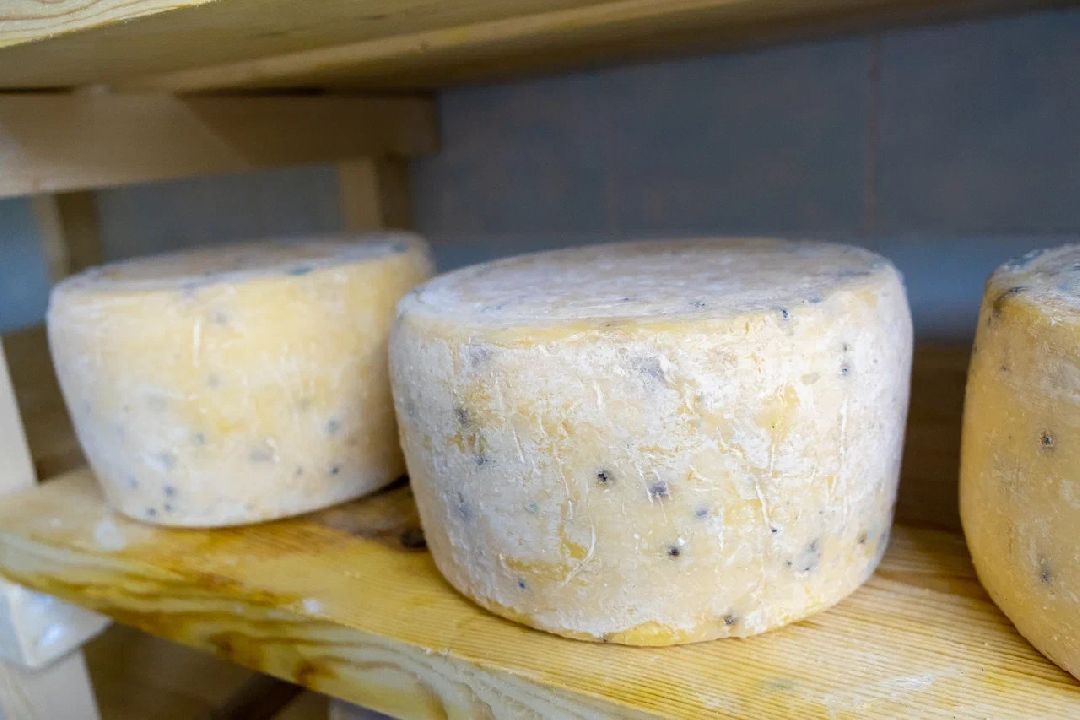 Экономика, производство, сыр, Альдини, Заголовацкий, Орехово-Зуево, Соболево