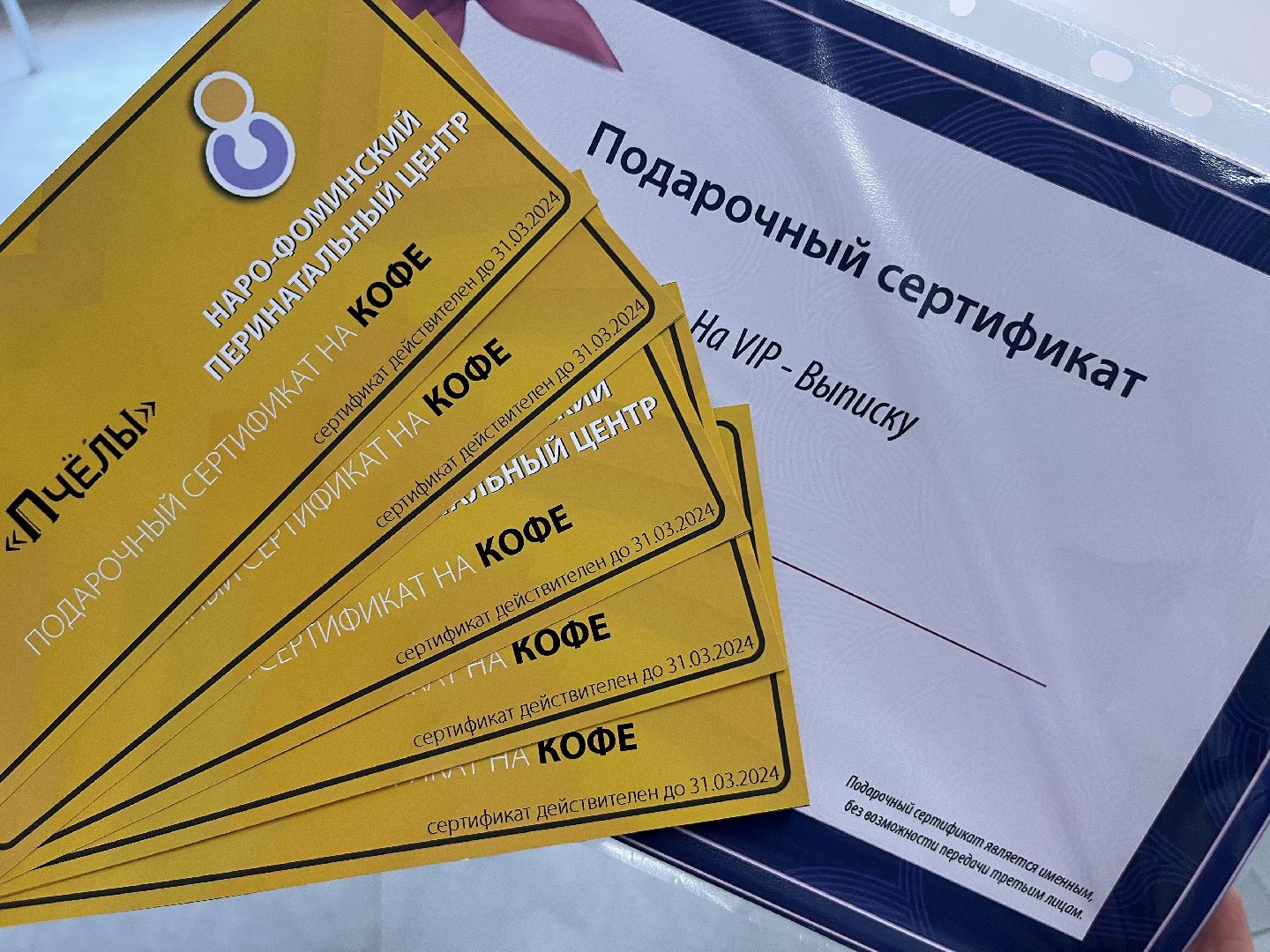 наро-фоминск, наро-фоминский городской округ, наро-фоминский перинатальный центр, день выборов 2024, выборы Президента 2024,