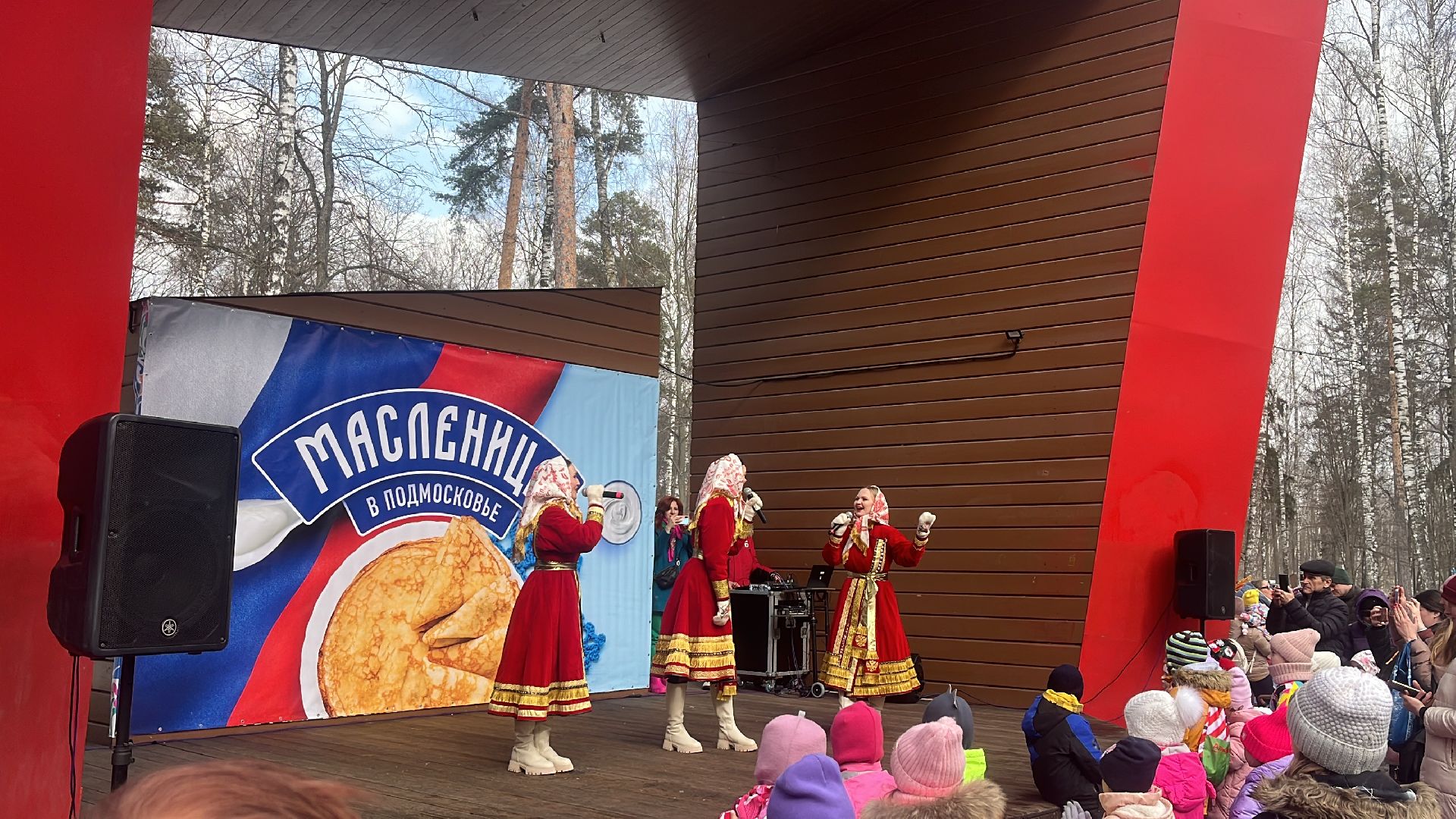 масленица, масленичные гуляния, парки балашихи,