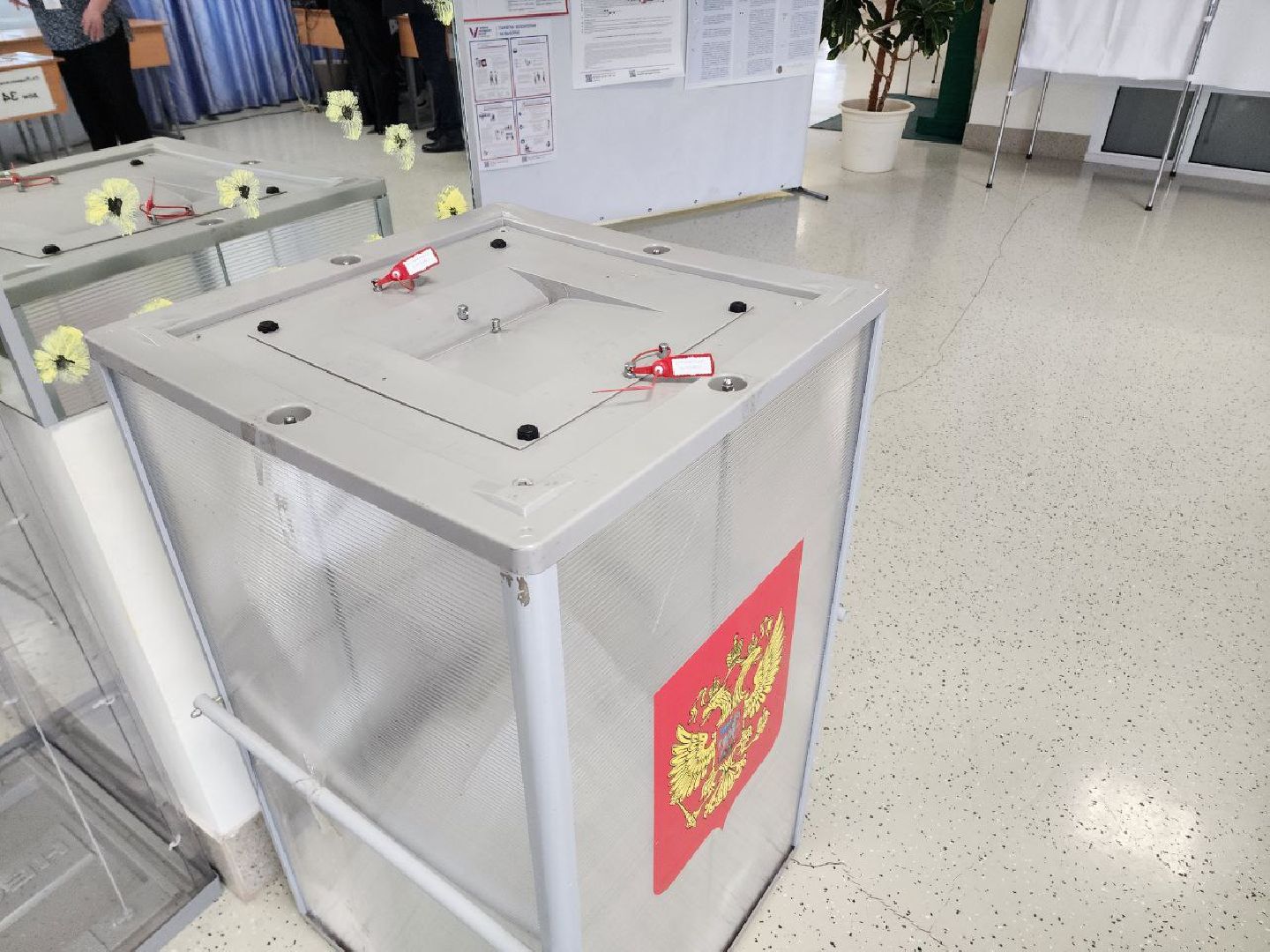 Солнечногорск, голосование 2024, выборы, выборы президента 2024, избирательные участки,