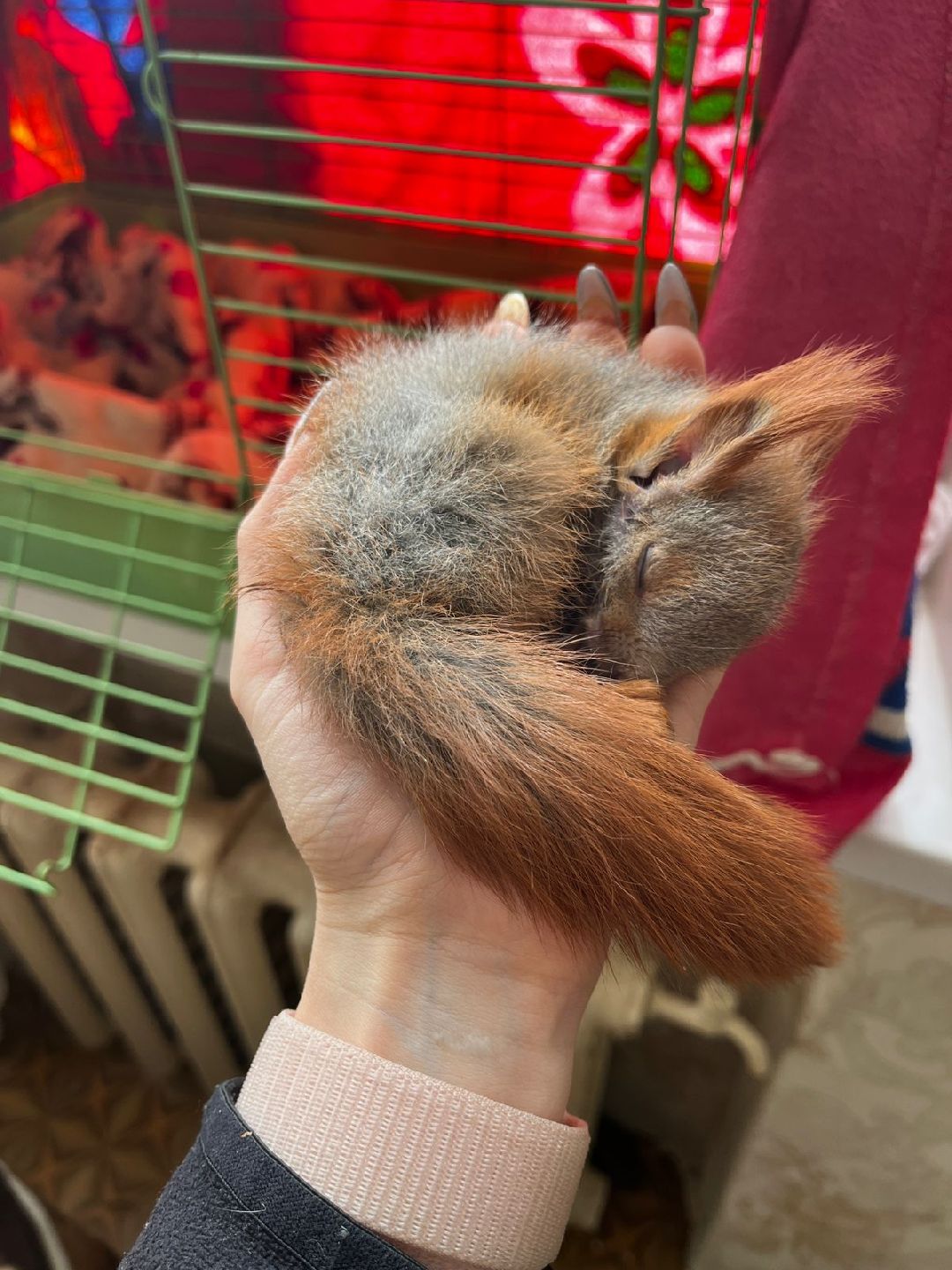 Донбасс, Горловка, Артобстрел, Спасение, Одинцово, Белка