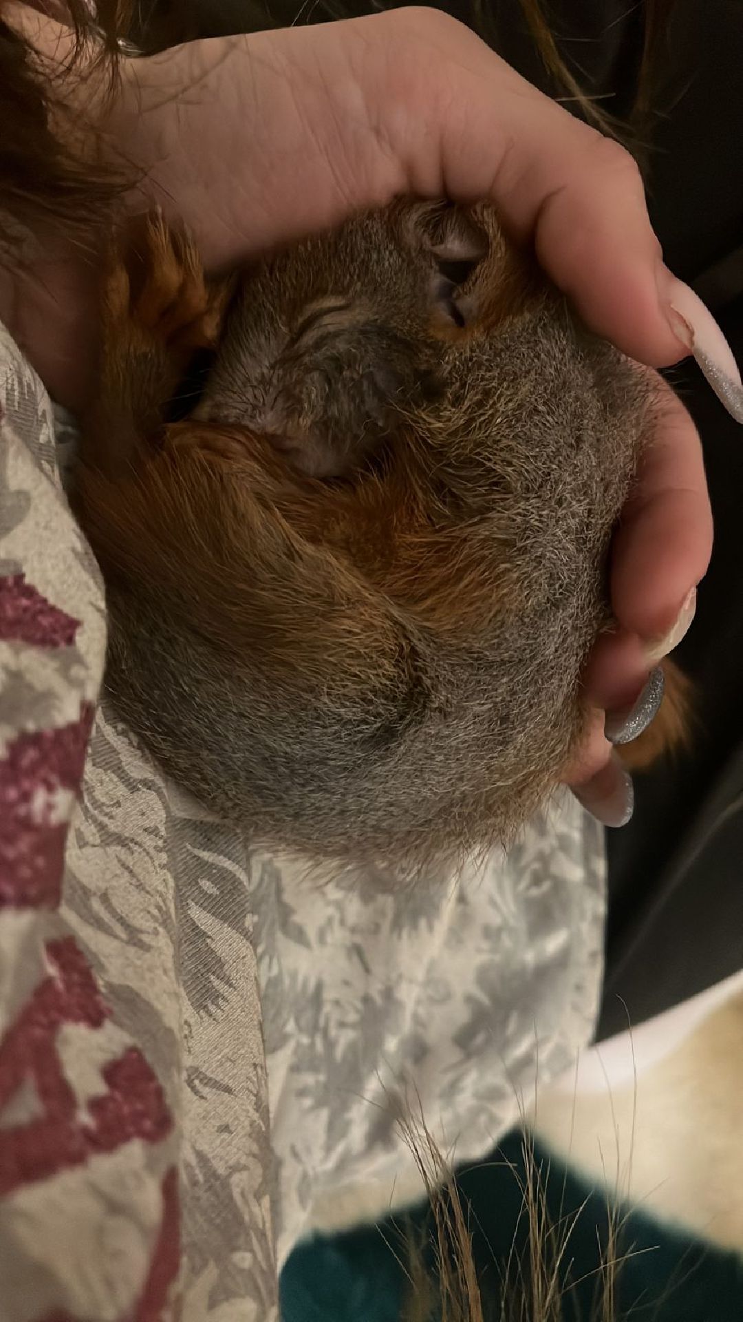 Донбасс, Горловка, Артобстрел, Спасение, Одинцово, Белка