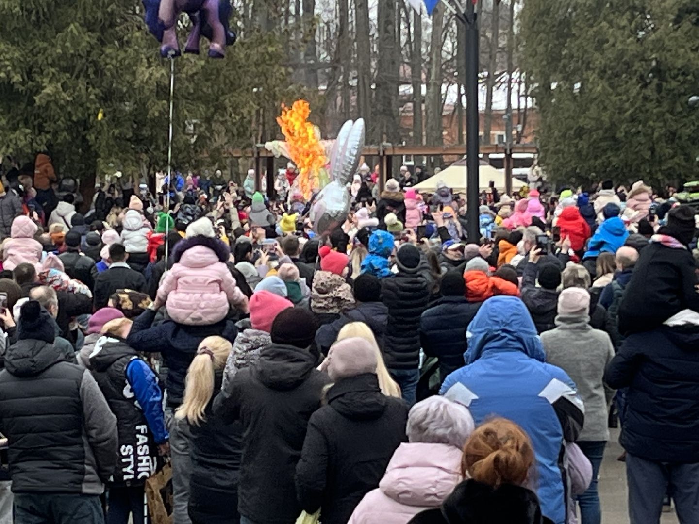 наро-фоминск, наро-фоминский городской округ,масленица,потешный столб,