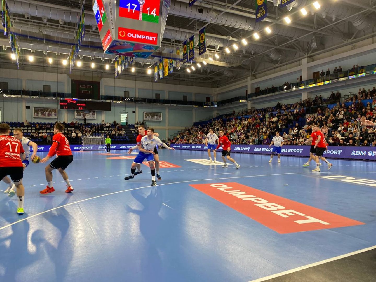 чехов, спорт, сборная россии, гандбол, победа, чеховские медведи, белоруссия,