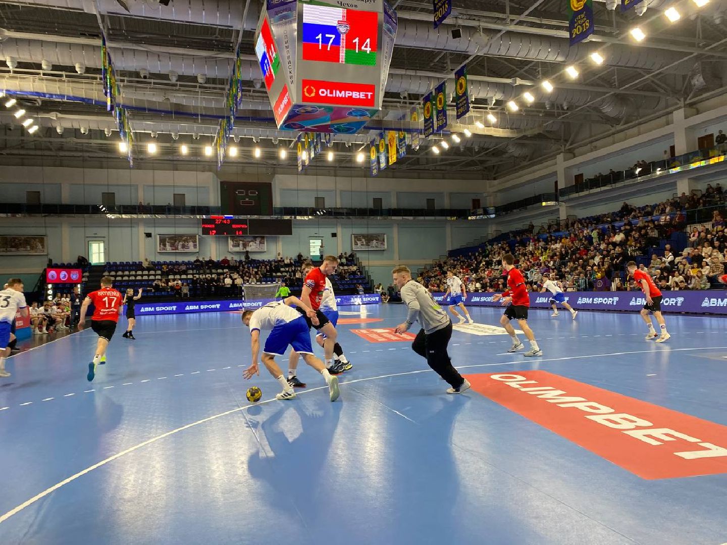 чехов, спорт, сборная россии, гандбол, победа, чеховские медведи, белоруссия,