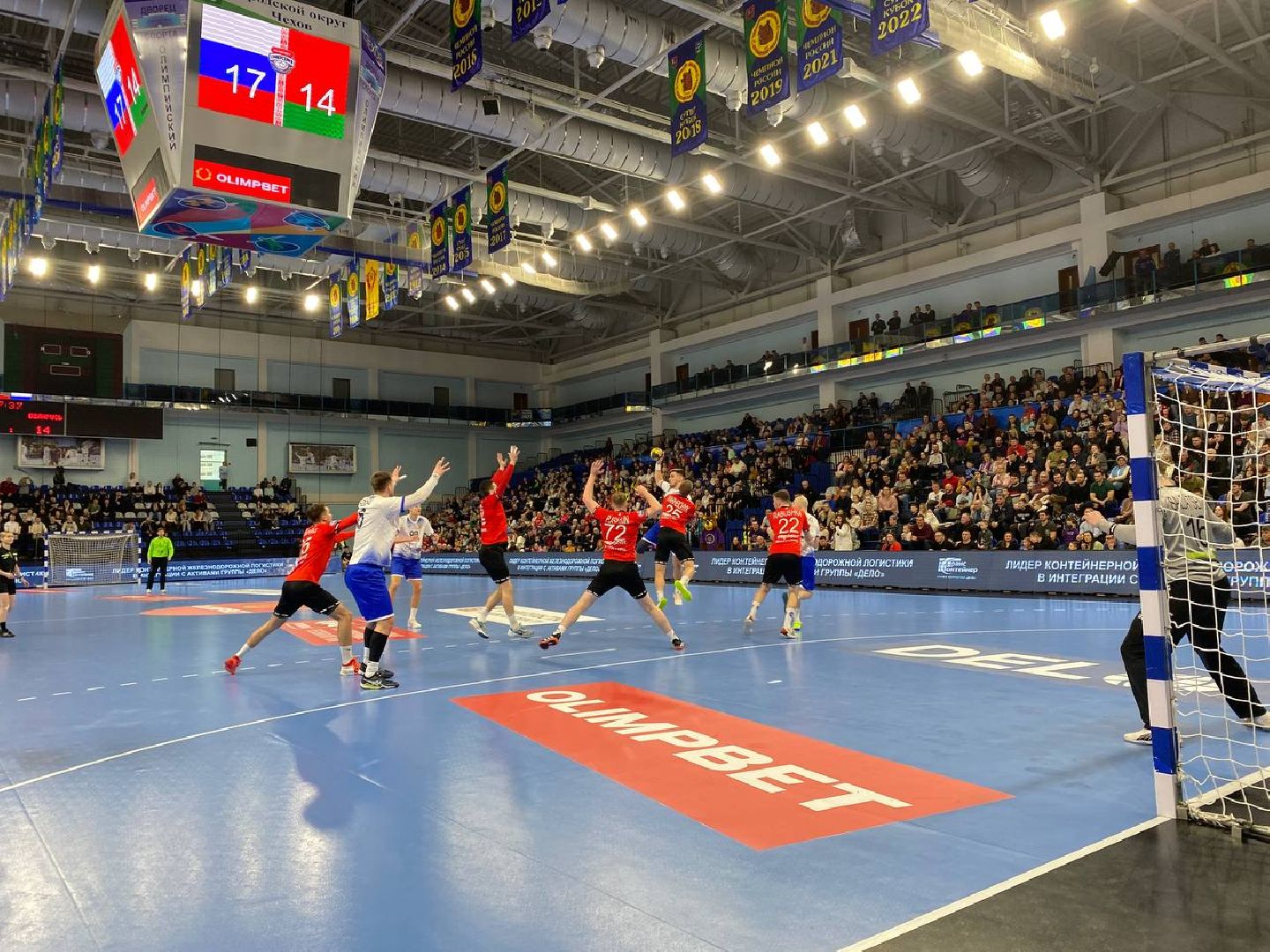 чехов, спорт, сборная россии, гандбол, победа, чеховские медведи, белоруссия,