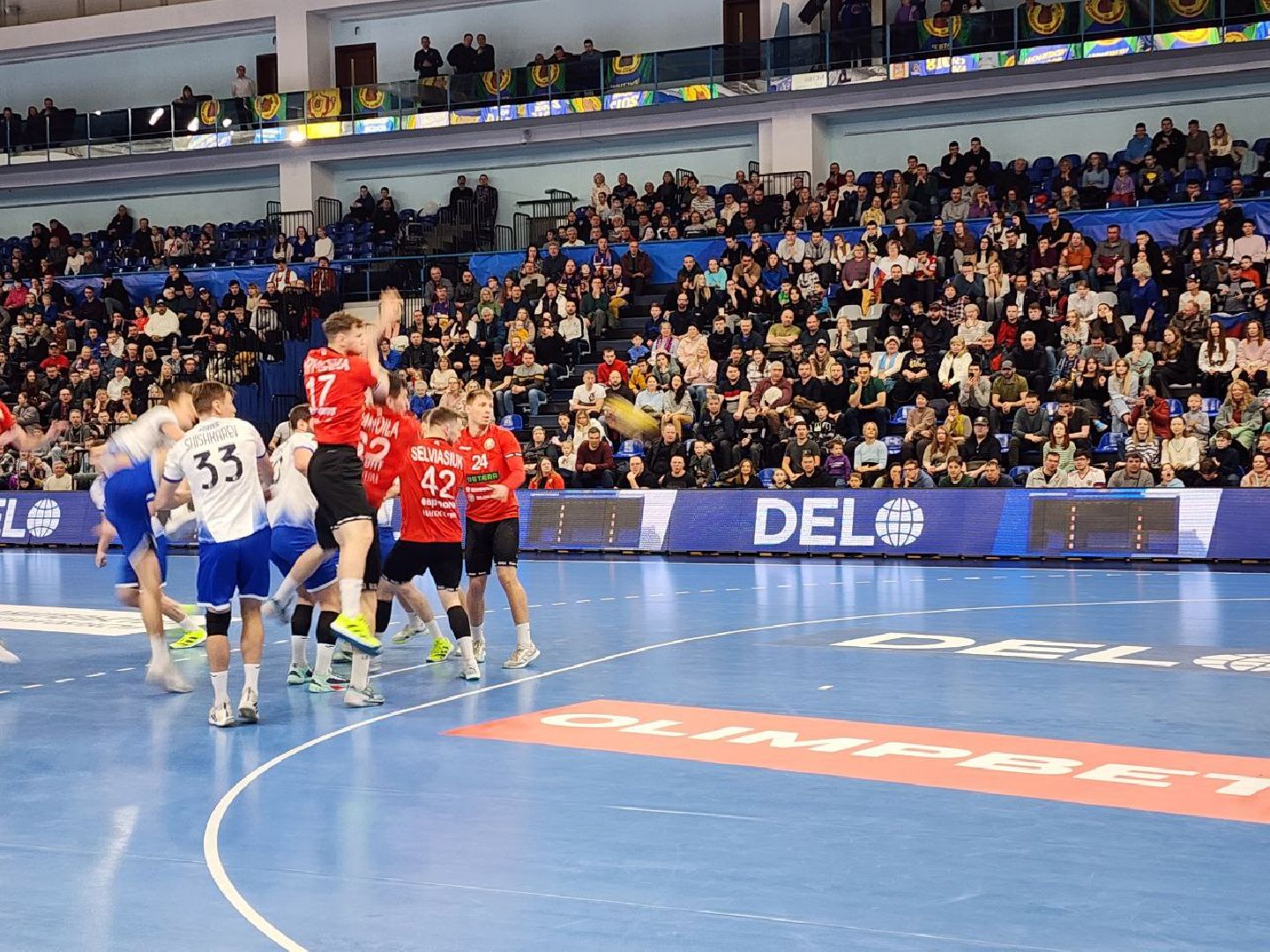 чехов, спорт, сборная россии, гандбол, победа, чеховские медведи, белоруссия,