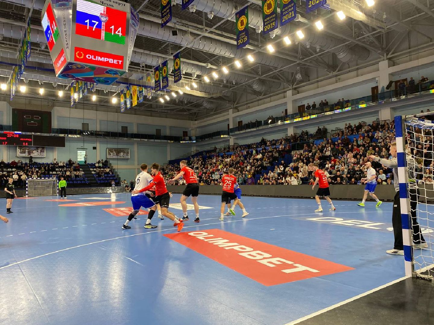 чехов, спорт, сборная россии, гандбол, победа, чеховские медведи, белоруссия,