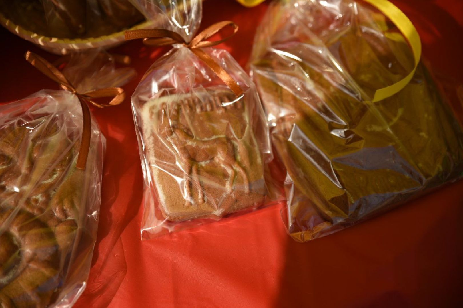 Бронницы, Масленица, Парк ракушка, Масленичные гуляния,