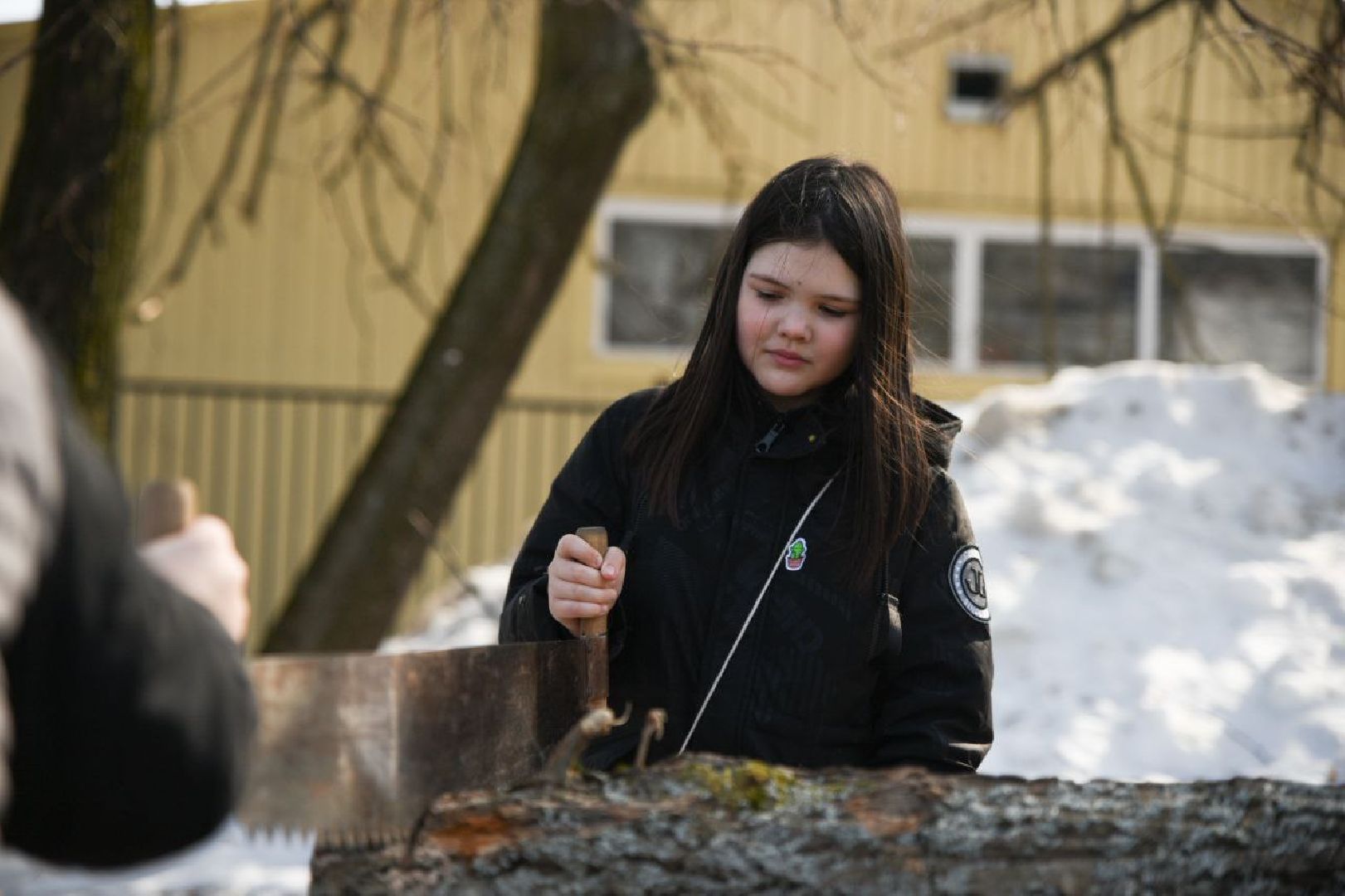 Бронницы, Масленица, Парк ракушка, Масленичные гуляния,