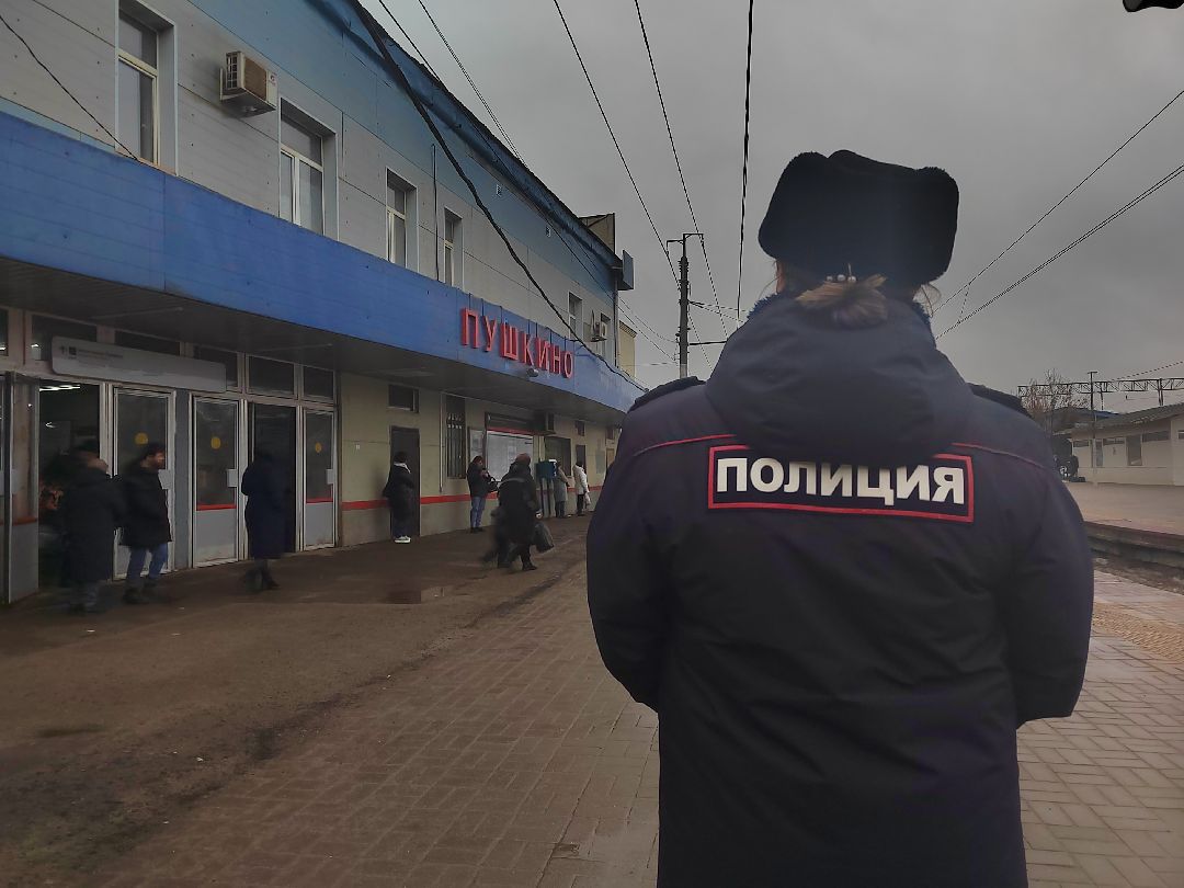 Пушкино, Пушкинский округ, транспорт, полиция, РЖД, Московская область