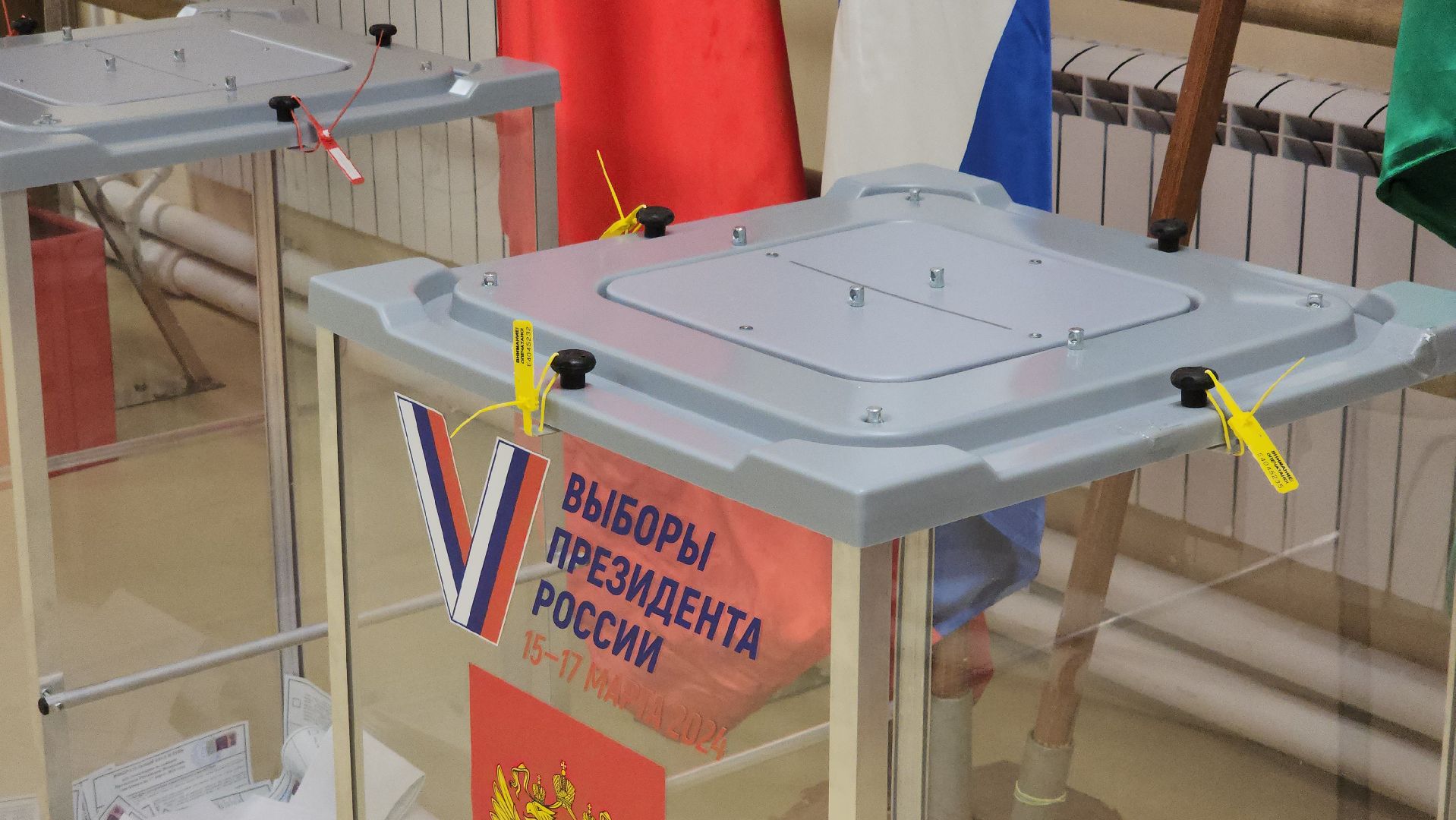 выборы, голосование, президент, Россия, избиратели,