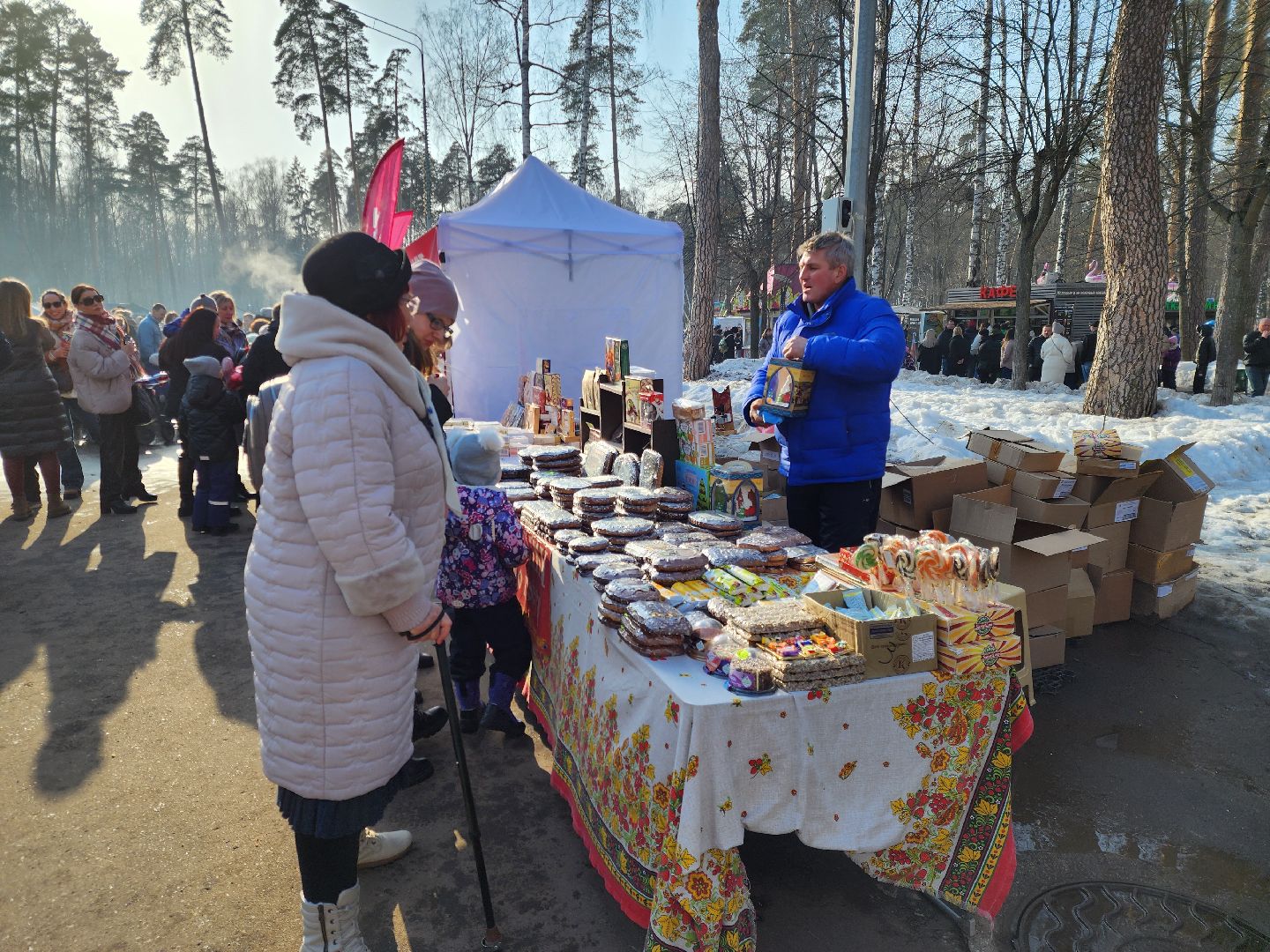 ногинск, масленица, парки подмосковья,