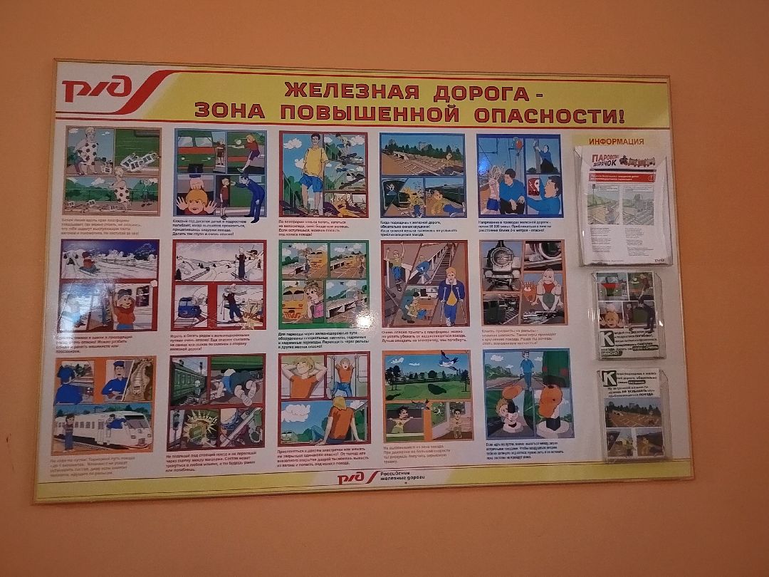 Пушкино, Пушкинский округ, образование, школа, безопасность