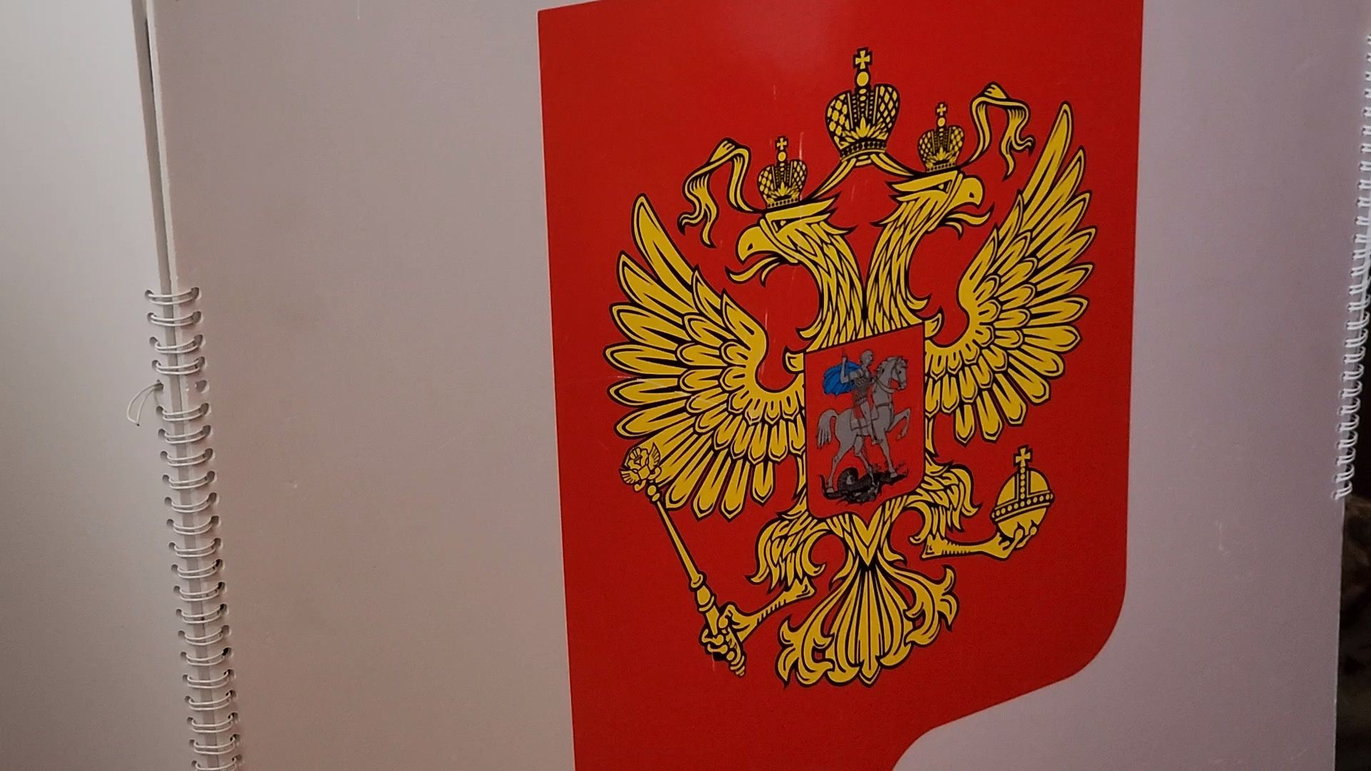 Запрудня, талдомский округ, выборы 2024, голосование на дому,