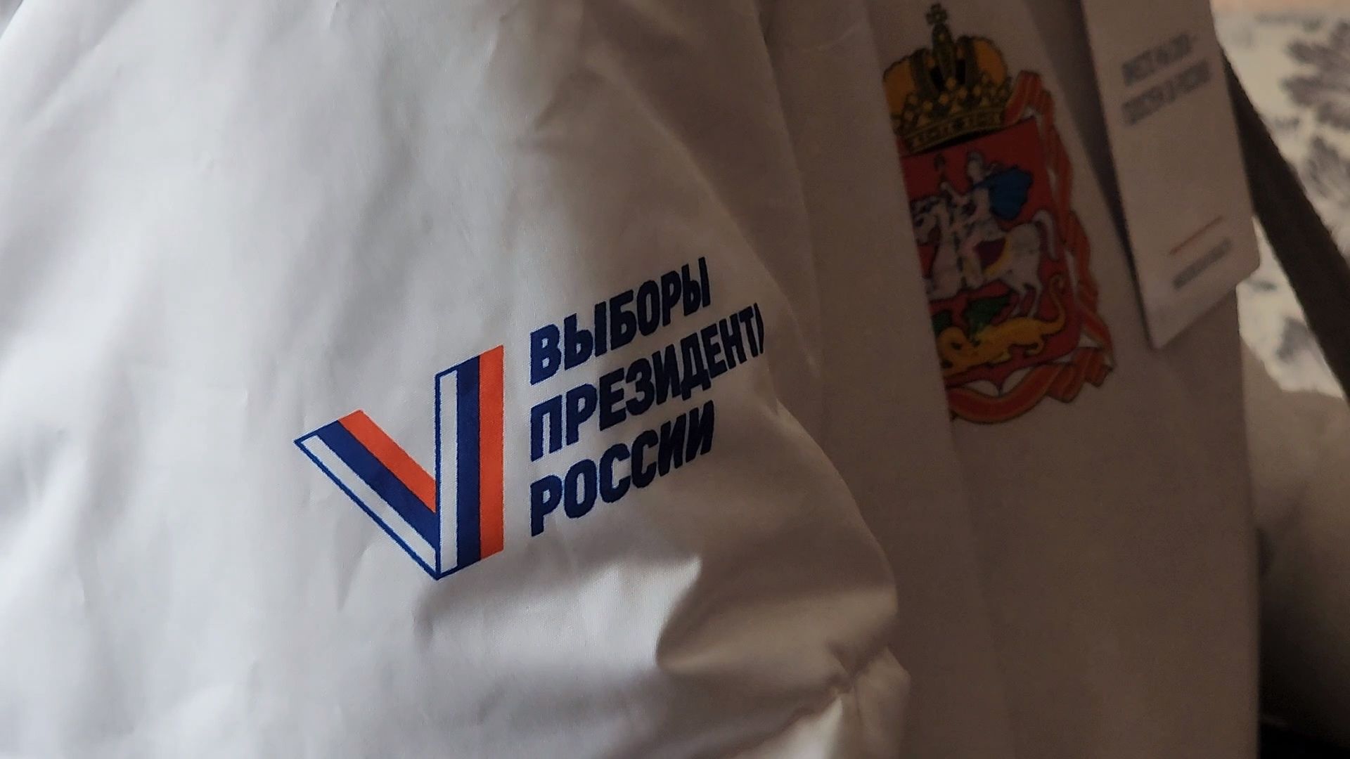 Запрудня, талдомский округ, выборы 2024, голосование на дому,