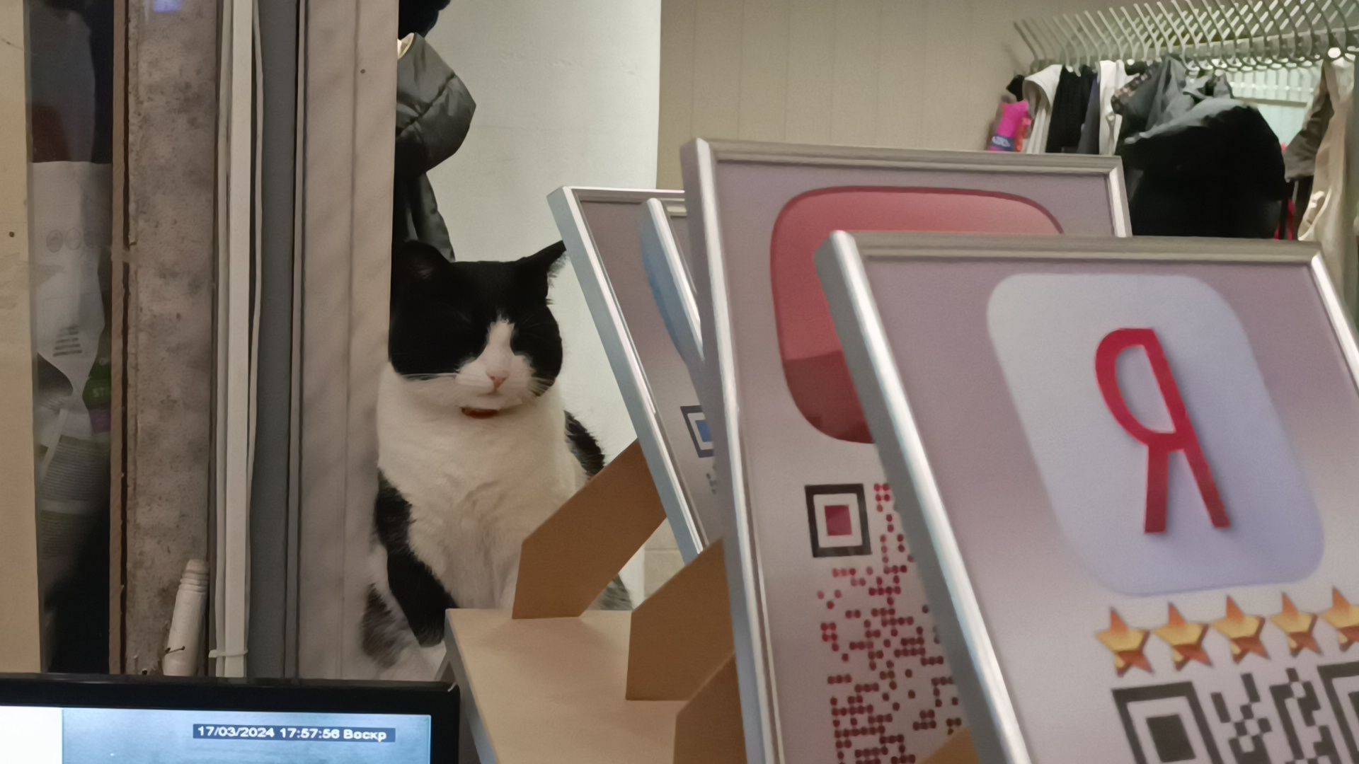 выбирает подмосковье, выбор 2024, лобня,