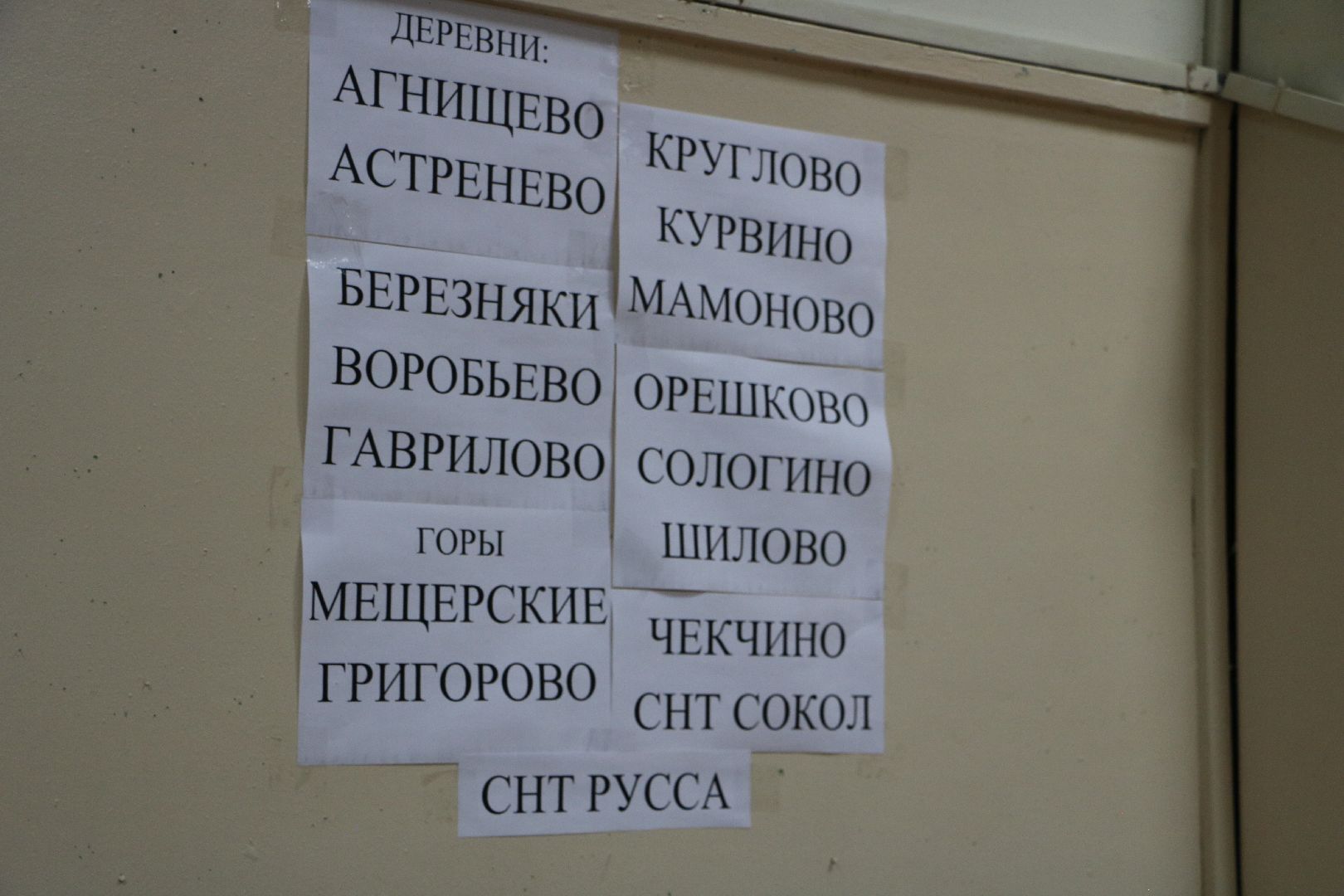 выборы президента 2024, лотошино,