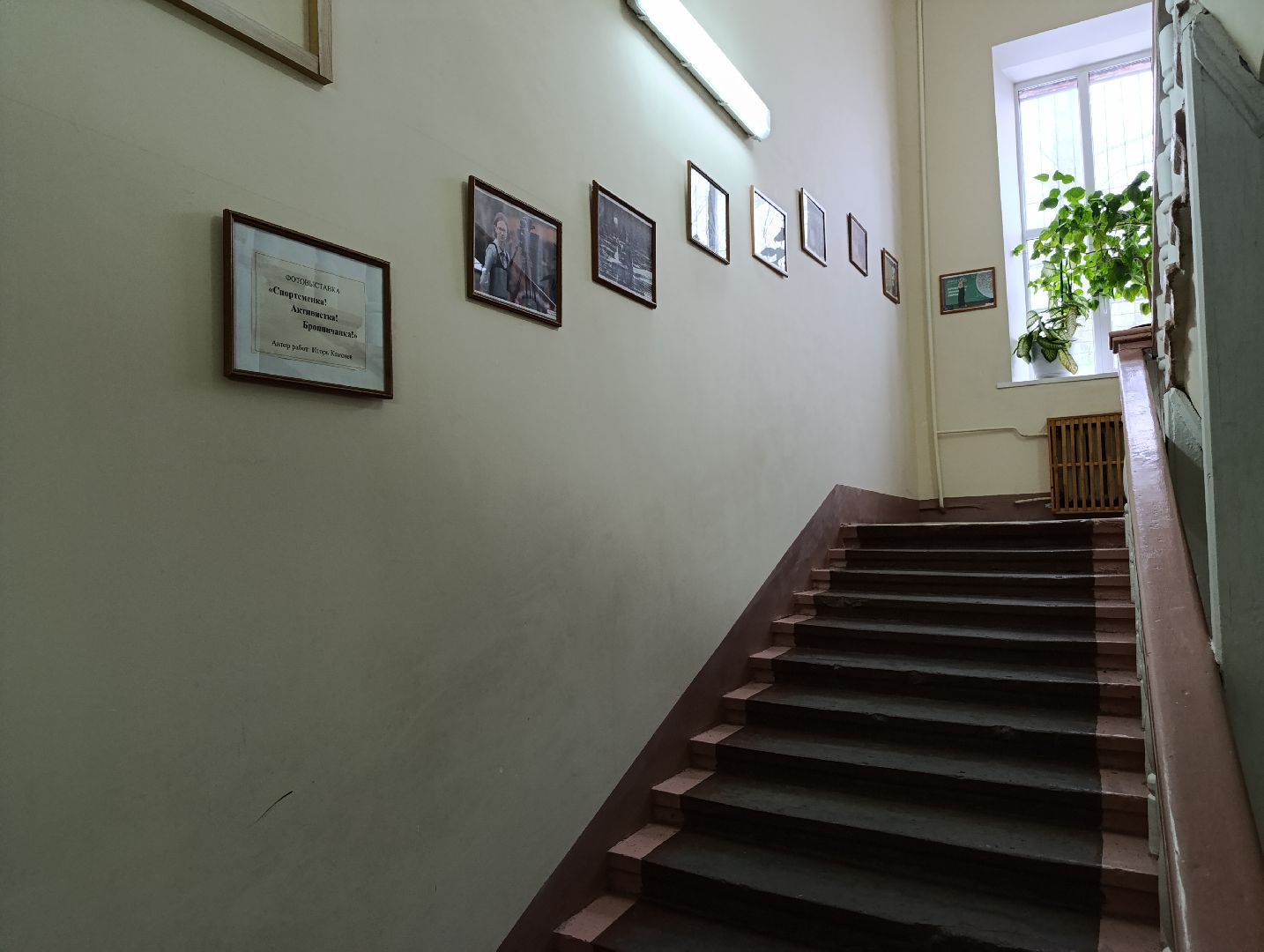 Бронницы, Фотовыставка, Музей истории города Бронницы, Фотовыставка в Бронницах, Фотограф,