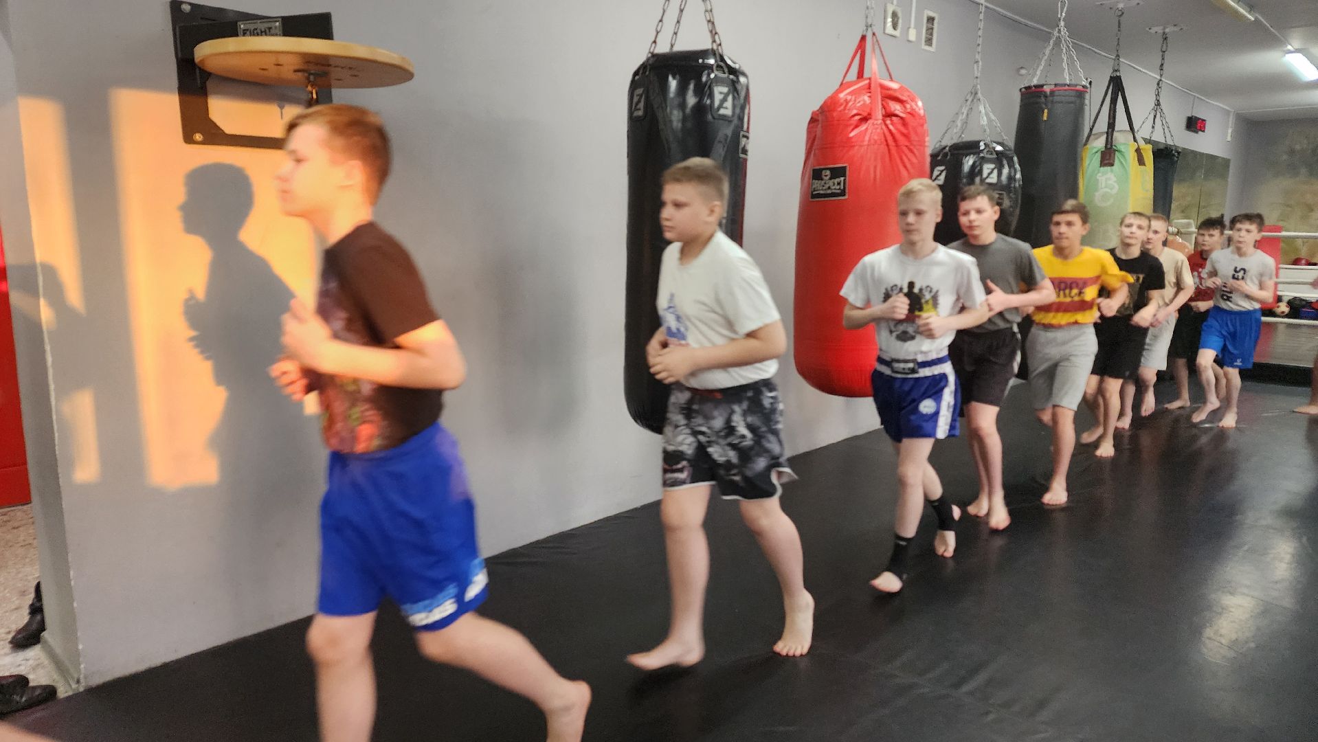 Реутов, спорт, бокс, кикбоксинг, чемпионат,
