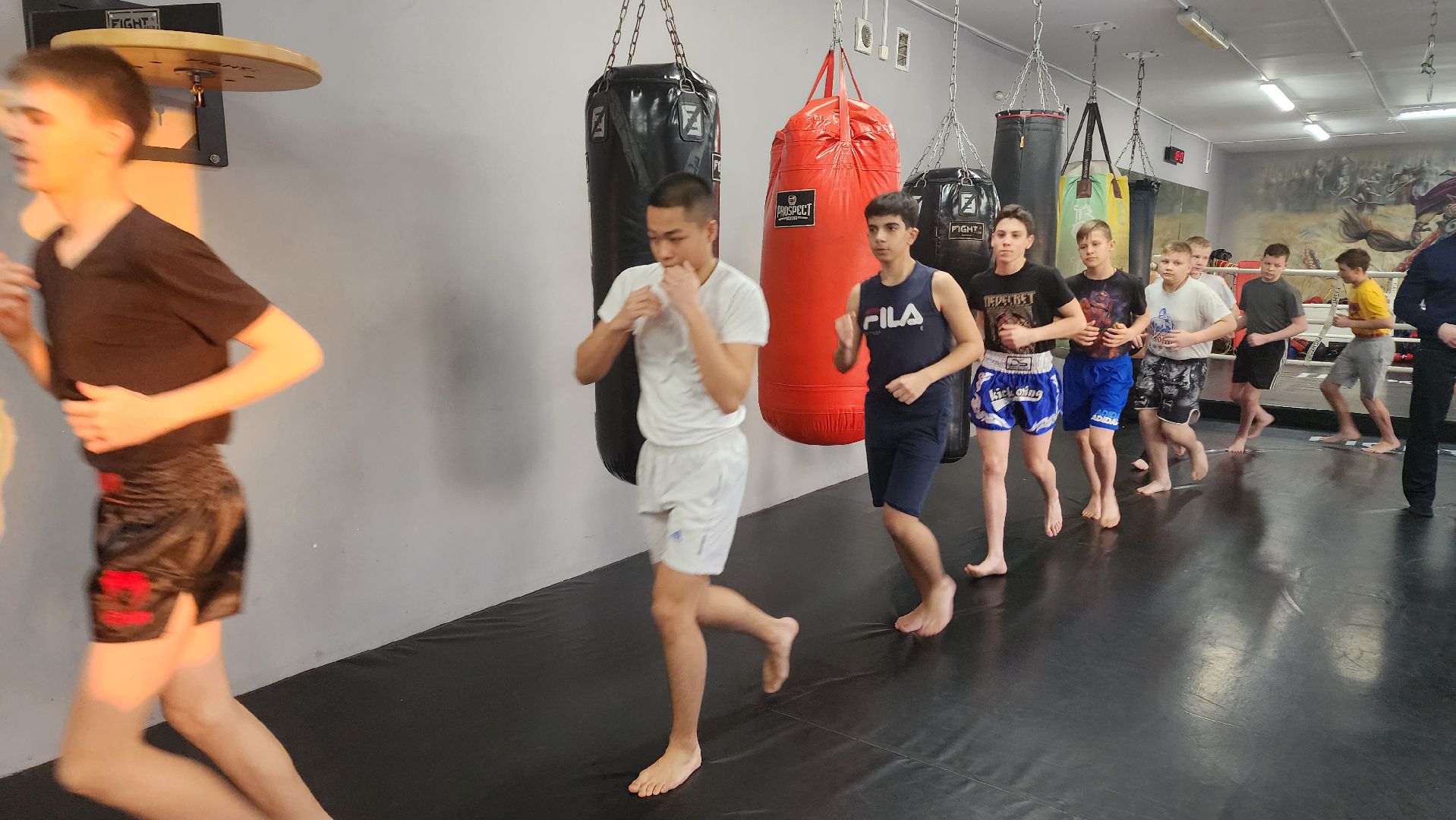 Реутов, спорт, бокс, кикбоксинг, чемпионат,